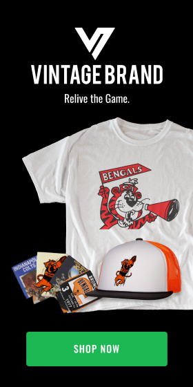 Party Brands Cincinnati Bengals Team Bengals